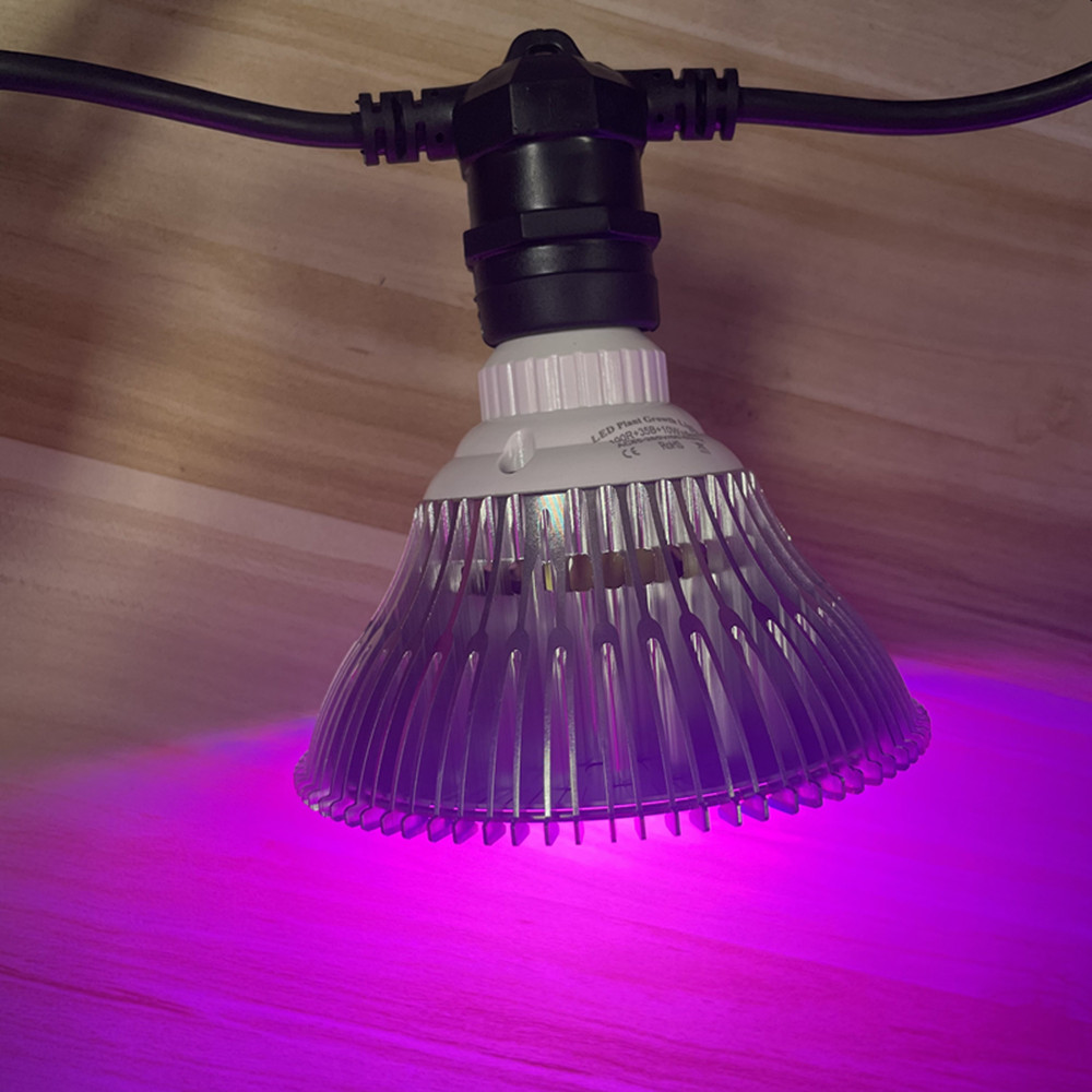 Cadena de luces LED de 10M, re - Outdoor Lighting Brands reseña y precio