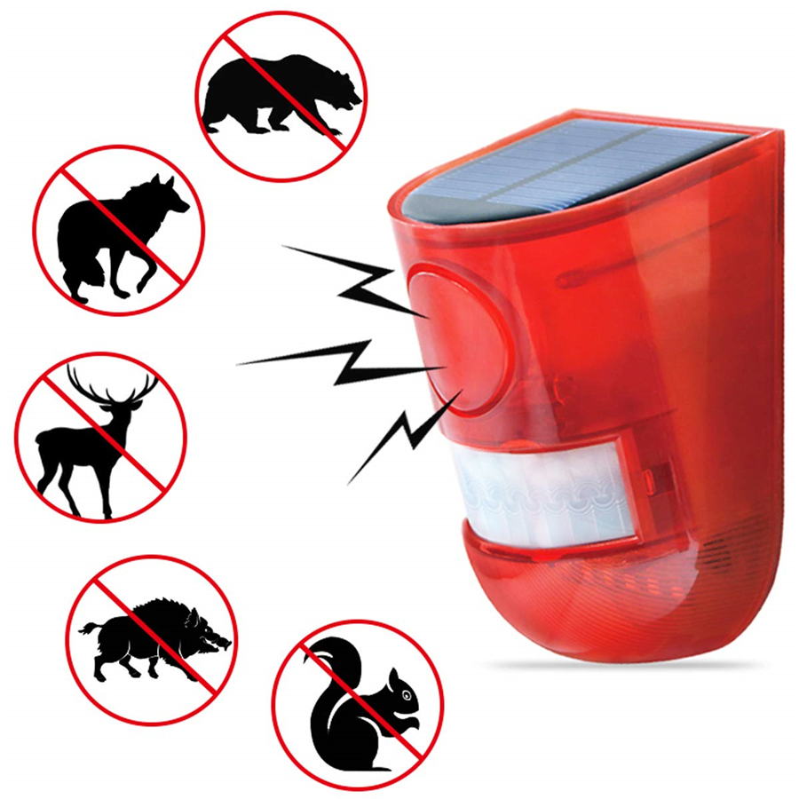 Alarma con Sensor de movimient - Outdoor Lighting Experts reseña y precio